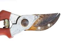 How do you recondition old garden tools?