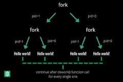 How does fork work?
