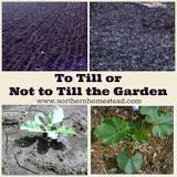 Should you turn over garden soil?