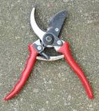 What are big garden scissors called?