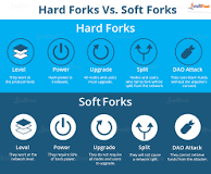 What are the two types of forks?