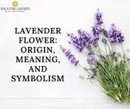 What does lavender mean in love?