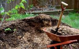 What happens if you mulch over grass?