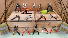 What is the best Anvil Pruner?