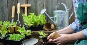 What is the best brand of garden tools?