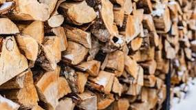 What is the best firewood to burn in a fireplace?