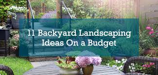 What is the cheapest way to landscape a backyard?