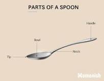 What is the head of a spoon called?