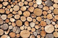 What wood should you not burn?
