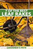 What kind of rake is best for leaves?