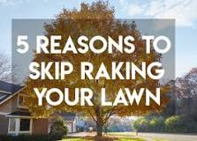 How do you get leaves up without raking them?