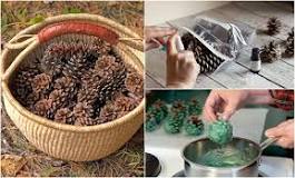 Are pine cones good for your yard?