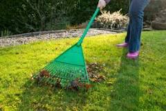Is it better to use a leaf blower or a rake?