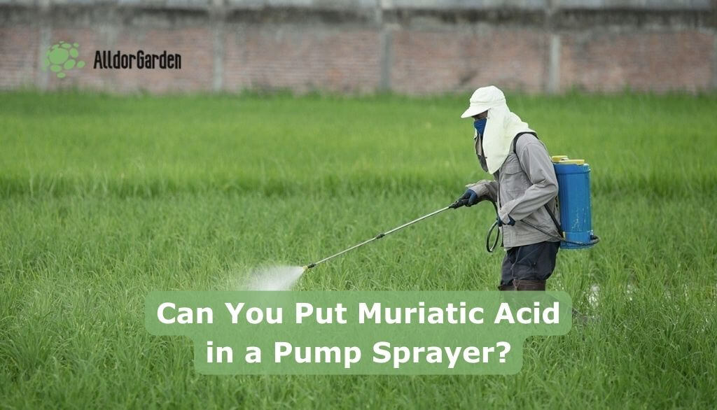 Can You Put Muriatic Acid in a Pump Sprayer?
