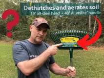 Can you dethatch your lawn with a regular rake?