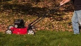 Can you use lawn mower to rake leaves?