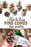 Do you have to clean pine cones before using them?