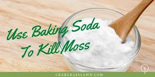 Does baking soda get rid of moss?