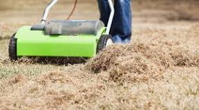 How do I dethatch my lawn manually?