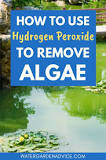 Does hydrogen peroxide clear pond water?