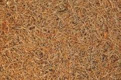Does pine straw prevent grass from growing?