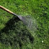 Does raking dethatch the lawn?