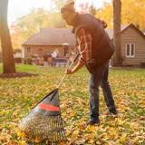 Does raking leaves do anything?