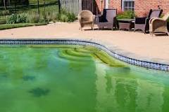 Does too much chlorine make pool green?