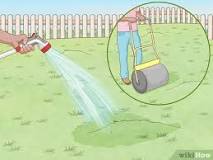 How can I flatten my lawn without a roller?