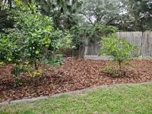 How can I make my yard look better in dirt?