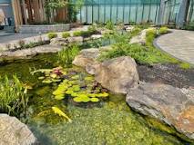 How can I naturally clear my pond water?