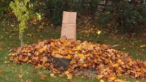 How do I bag leaves in my yard?