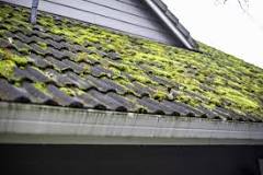 How do I get dried moss off my roof?