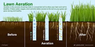 How do I know if my lawn needs aeration?