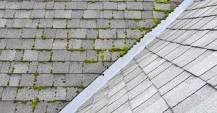 How do I know when my roof needs cleaning?