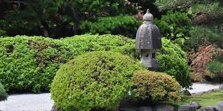 How do I make a budget Zen garden?