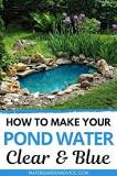 How do I make my pond clear blue?