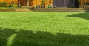 How do I self level my lawn?