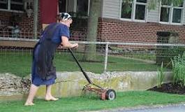 How do the Amish mow their lawn?