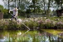How do you clean debris from the bottom of a pond?