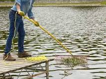 How do you drag weeds out of a pond?
