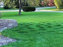 How do you level a bumpy lawn?