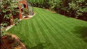 What is the best month to aerate my lawn?