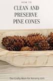 How do you keep pine cones from rotting?
