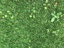 How do you keep weeds from growing on top of artificial grass?
