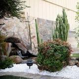 How do you maintain a garden rock border?