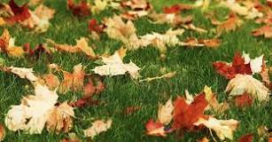 How do you make raking leaves easier?