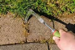 How do you permanently remove weeds from pavers?