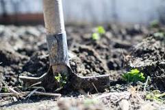 How do you rake hard soil?