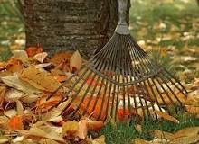How do you rake up a lot of leaves?
